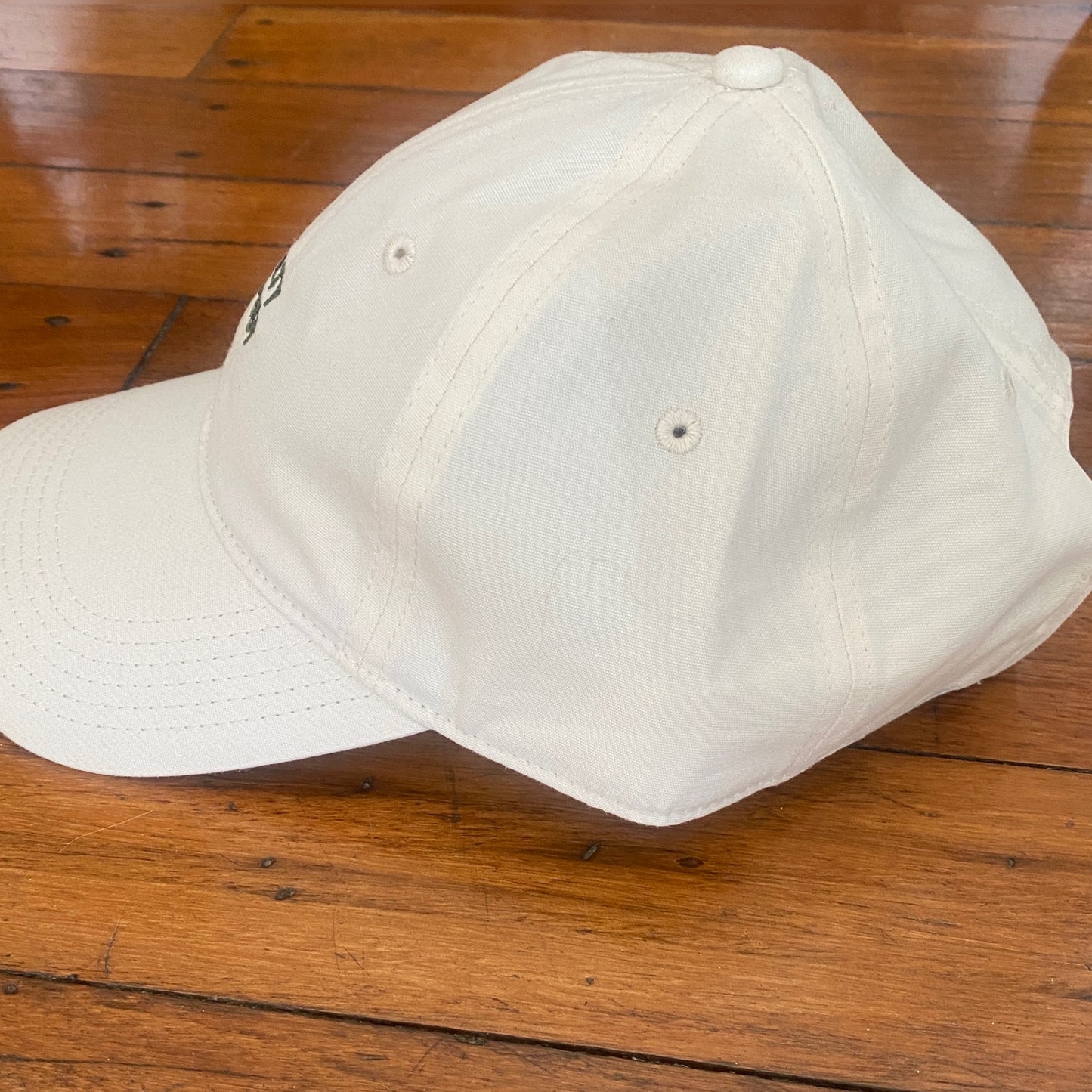 Salty Snapback